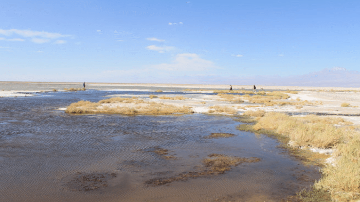 Diagnóstico Ambiental de las Lagunas La Punta y La Brava, Aquist Hidrogeológica, para el Ministerio de Medio Ambiente