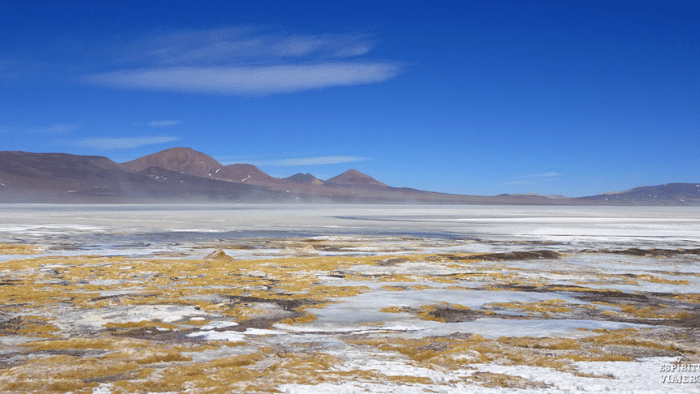 Diagnóstico Ambiental de Lagunas, Salar de Atacama | AQUIST | Medio Ambiente