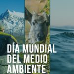 Día Mundial del Medio Ambiente