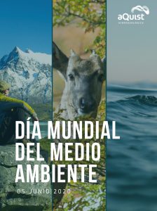 Día Mundial del Medio Ambiente