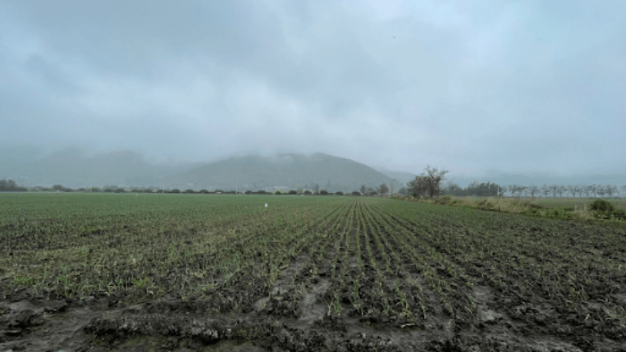 Mostrar los servicios que realiza Aquist Hidrogeoógica. En este caso Caracterización Fisicoquímico de aguas del Proyecto “Parque Fotovoltaico El Roque”.