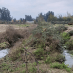 Imagen muestra los trabajos en terreno en el proyecto de Evaluación Hídrica de No Aplicabilidad de PAS 156, Aquist Hidrogeológica