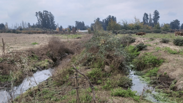 Imagen muestra los trabajos en terreno en el proyecto de Evaluación Hídrica de No Aplicabilidad de PAS 156, Aquist Hidrogeológica