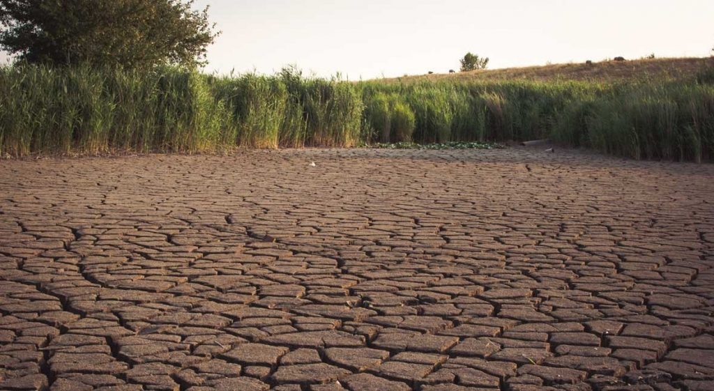 El Día Mundial de Lucha contra la Desertificación y la Sequía