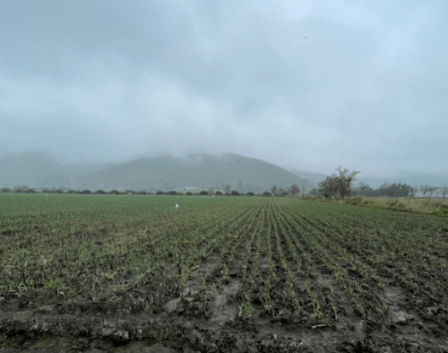Mostrar los servicios que realiza Aquist Hidrogeoógica. En este caso Caracterización Fisicoquímico de aguas del Proyecto “Parque Fotovoltaico El Roque”.