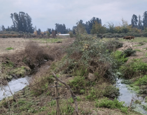 Imagen muestra los trabajos en terreno en el proyecto de Evaluación Hídrica de No Aplicabilidad de PAS 156, Aquist Hidrogeológica